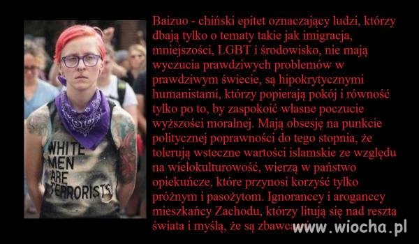 Baizuo