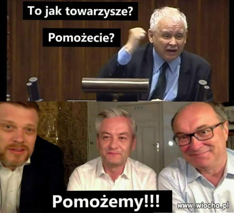 Towarzysze 