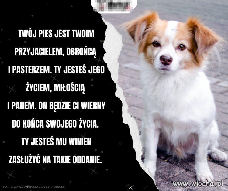 Cała prawda