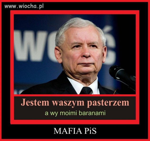 MAFIA...PIS