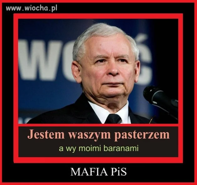MAFIA...PIS