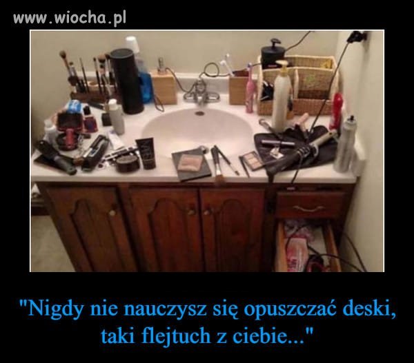 Wszystko z muszli 