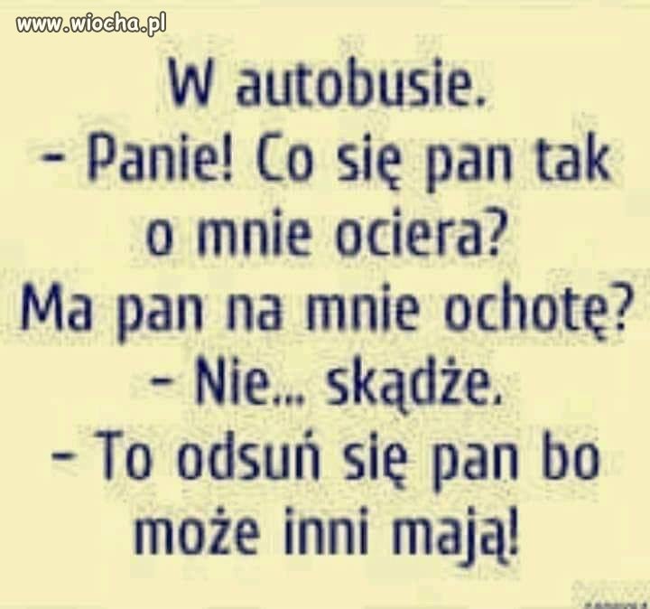 Pies ogrodnika