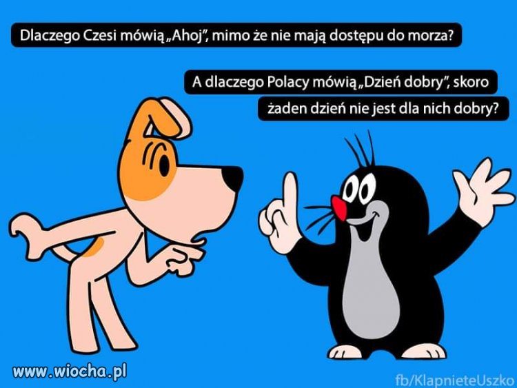 No dlaczego?