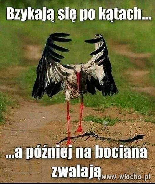 Głowa mała