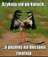 Głowa mała