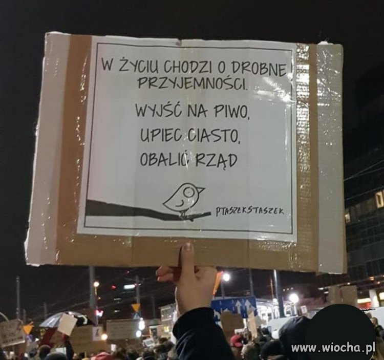 Czego nie rozumiesz ?