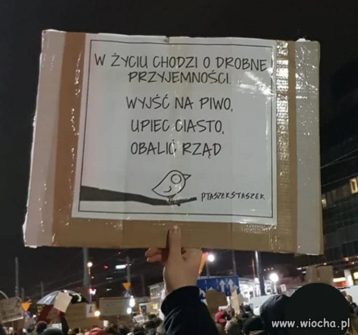 Czego nie rozumiesz ?