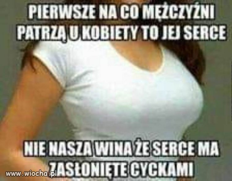 Nic dodać