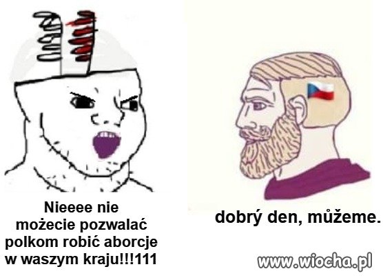 "Nasz" ambasador 
