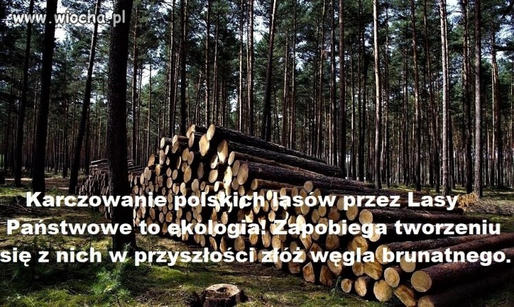 Karczowanie Polski.