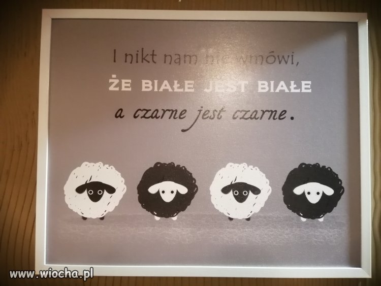 Z cyklu znane powiedzenia polityków
