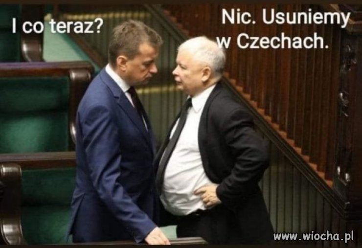 Średnio rozgarnięty wie co zdobić 