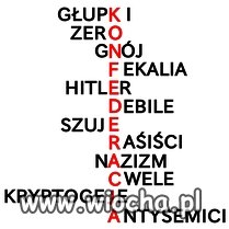 KRZYŻÓWKA 