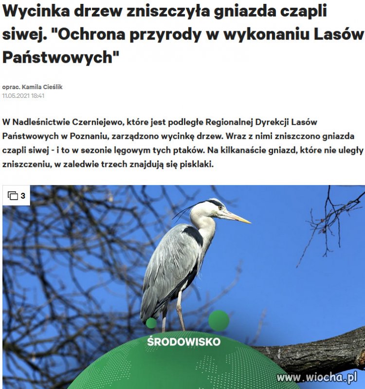 Ręce opadają