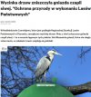 Ręce opadają