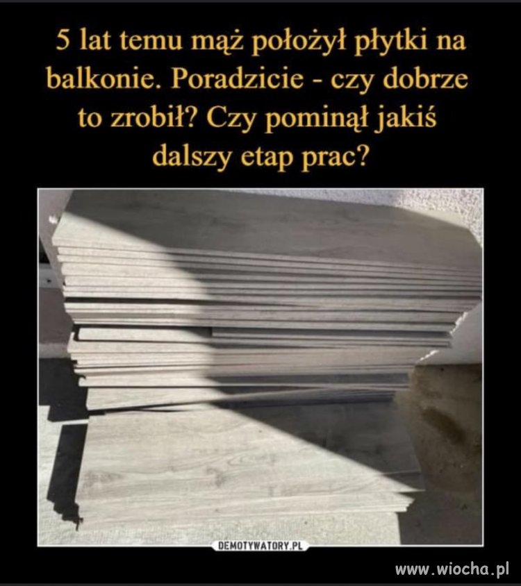 Fachowiec 