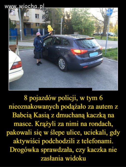Najbardziej niebezpieczna dla PiSu, Babcia Kasia..