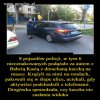 Najbardziej niebezpieczna dla PiSu, Babcia Kasia..