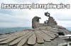 Czarne myśli