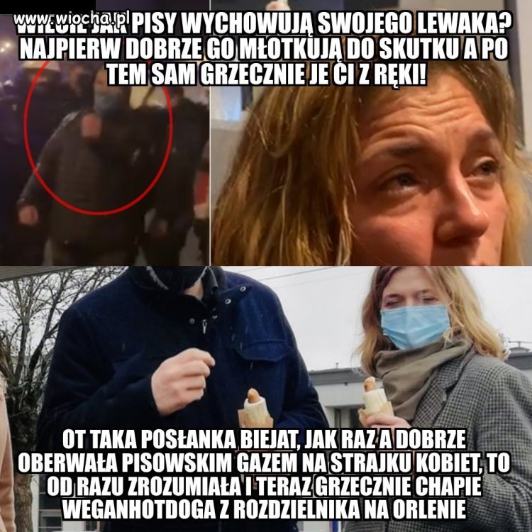Pisowskie wychowanie 100% hardcore