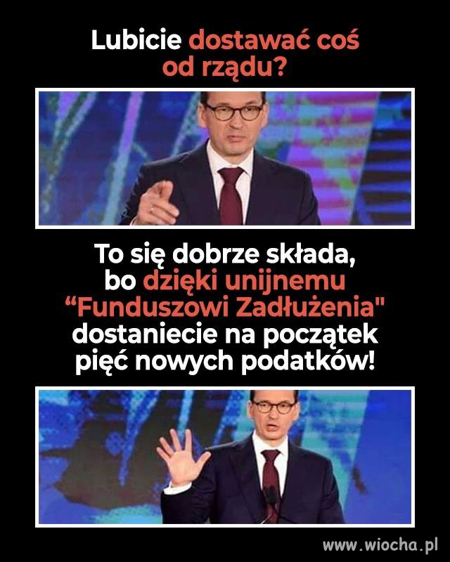 Matołuszek już nam to wszystkim załatwi ...