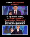 Matołuszek już nam to wszystkim załatwi ...