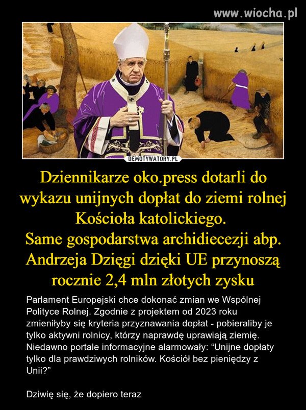Czarna stonka nadal w rozkwicie