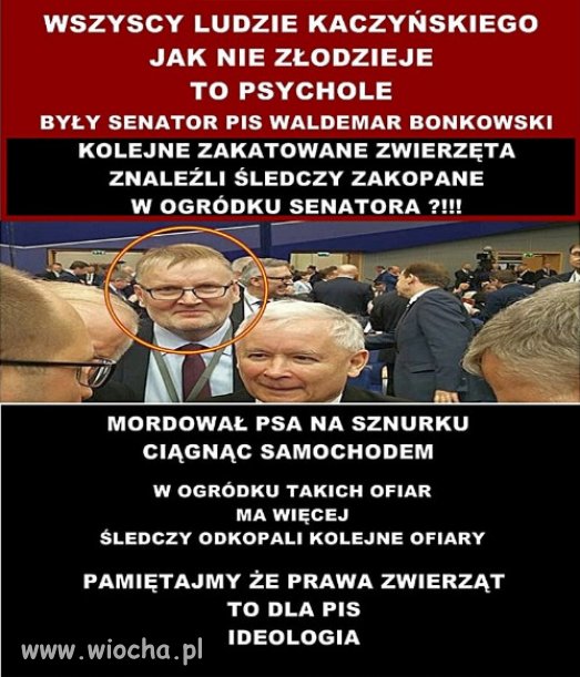 Jak nie zlodzieje to psychole...