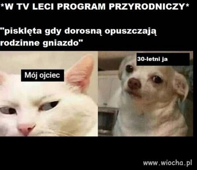 Popieram