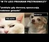 Popieram