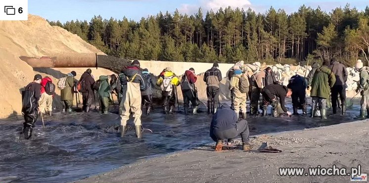 Bursztynowa gorączka w Kątach Rybackich.