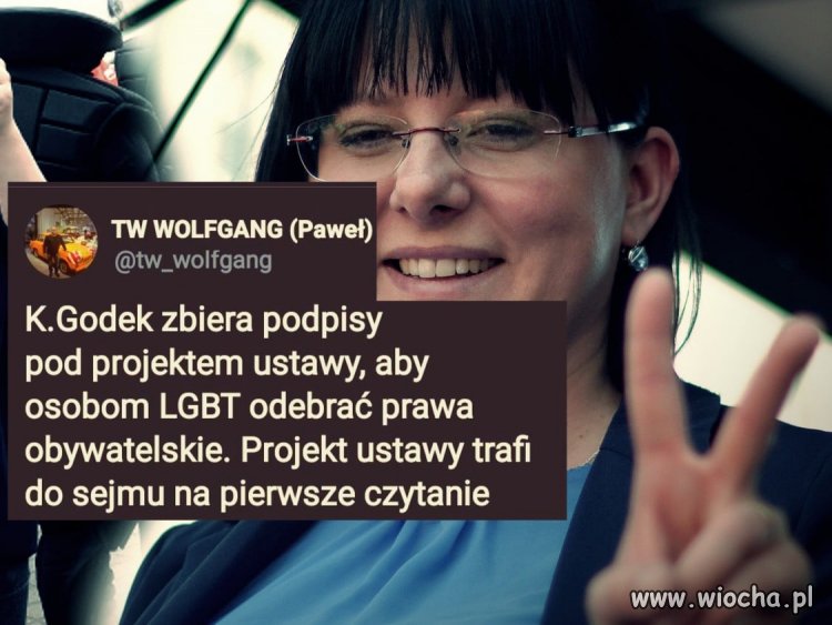 Czy są jakieś ustawowo określone granice idiotyzmu