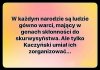 Taka smutna prawda o części polskiego narodu...