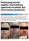 Polacy w Europie...