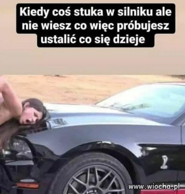 Stary głąb