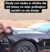 Stary głąb