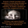 PiS ekonomicznie wspiera pedofilie w sekcie kościoła!