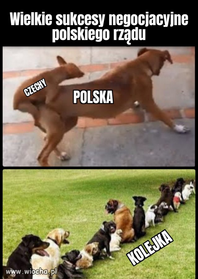 Wstaliśmy z kolan, jesteśmy wielcy