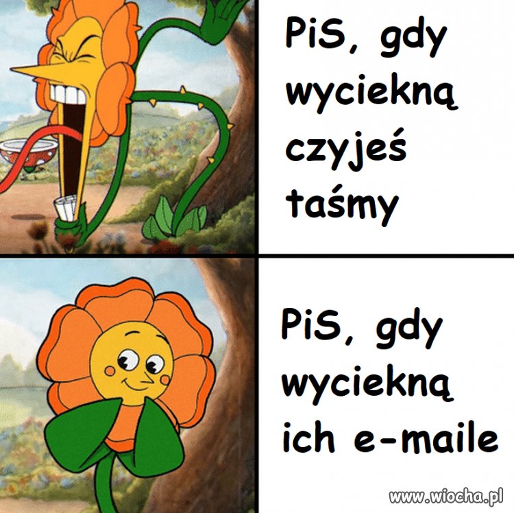 PiS już taki jest 