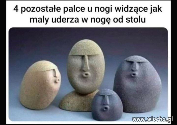 Palce u nogi 