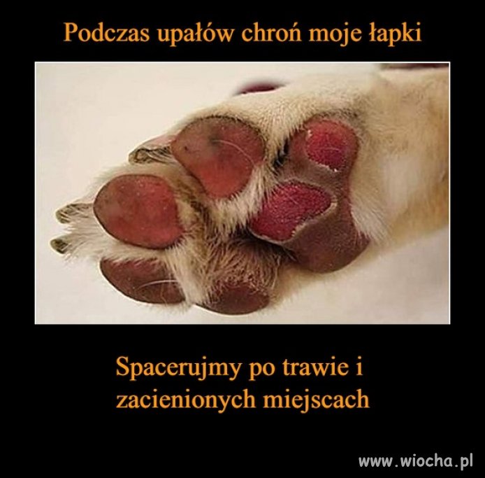 Tak dla przypomnienia