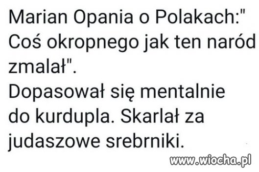 MARIAN OPANIA O WYBORCACH PIS...