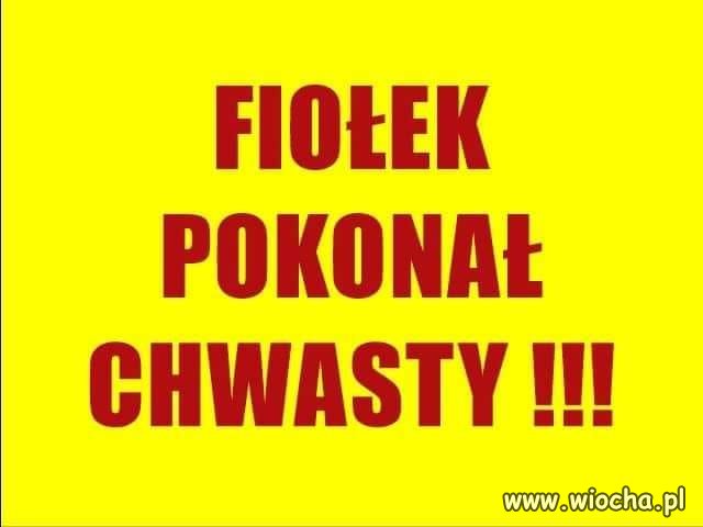 Ciekawostka biologiczna ... z Rzeszowa