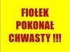 Ciekawostka biologiczna ... z Rzeszowa