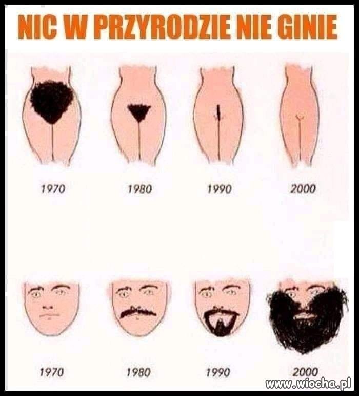 Tak się porobiło