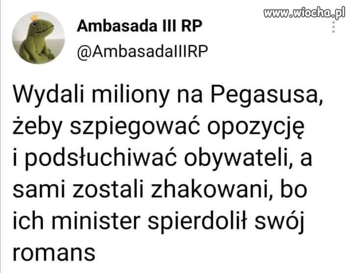 W skrócie... 