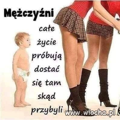 Dupa nie lokomotywa