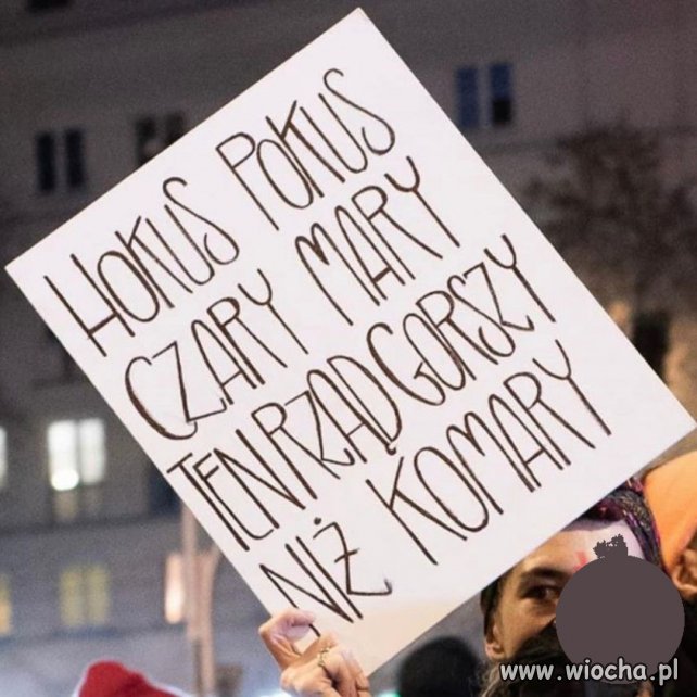  Komarów ostatnio niestety pod dostatkiem.