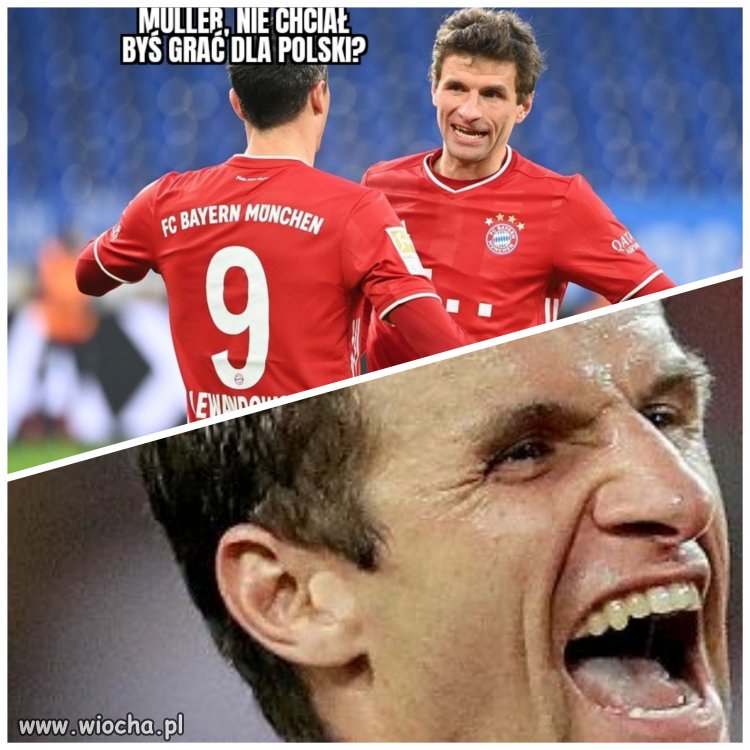 Müller
